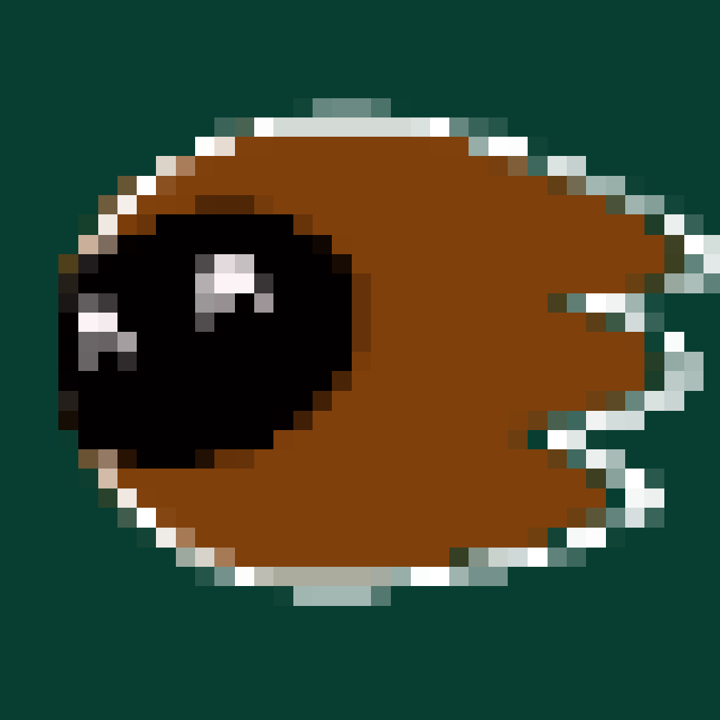 motoko_pixels: 172